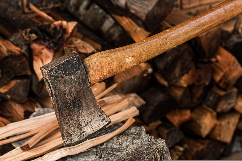 Polskie lasy zagrożone: ludzie kradną drewno na opał